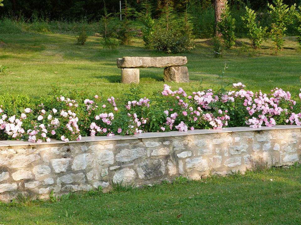 Garden roses and stone bench